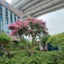 파동평생학습센터 이미지