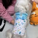 실용홈패션과 옷 만들기 이미지