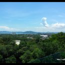 망고민박 이미지