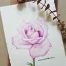 수채화 그리기 이미지