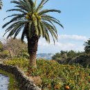 대세농장 이미지