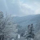 이랑둔내펜션 이미지