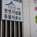 금강동물병원 이미지