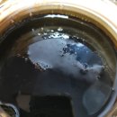 수홍삼