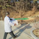 강아지 펫 헤븐 이미지