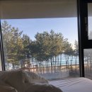 라헨느H