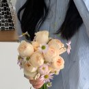 리즈모이