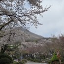 라자로식당