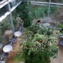 어반플랜트 수영 이미지