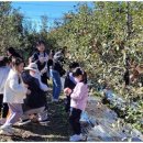 잠꽃펜션 이미지