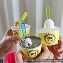 스탠드에비뉴 플리마켓 우연히 발견한 &#34;코코메로 강릉젤라또 by 순두부청년&#34; 젤라또 맛있는 내돈내산 후기