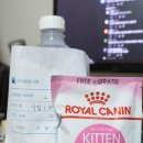 오태동물병원 이미지