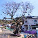 선창마을 이미지