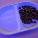 앵글러실내낚시터 이미지