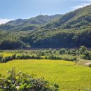 북내초등학교도전분교장 이미지