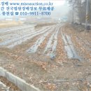 삼전보건진료소 이미지