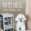 오마이펫 이미지