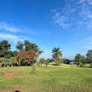 Song CC | 호치민 골프 패키지 | 송베CC + 렌트카 + 숙소 올인원 예약 안내<