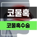 코물혹 이미지