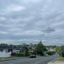 [Working Holiday in New Zealand] D+196~213