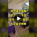 칠성출장뷔페 이미지