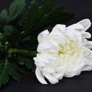 ㈜수트래블 이미지