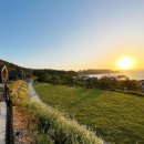 도그펜션 이미지