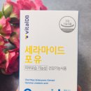 먹고 바르는 바이탈디비(Vital DB) 세라마이드 포유 / 한 달 사용 후기