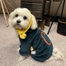 오대오 미트 | 몽이랑캠핑 동계 장박일기 #2 장박시작