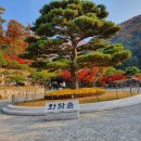비경PC | 화담숲 가을 단풍 예약 완벽 가이드! 놓치면 후회할 꿀팁 대방출