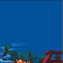 피터팬짐 이미지