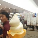 송송그루밍 | 부산 맛집인듯, 맛집아닌듯.