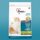 퍼스트초이스 이미지