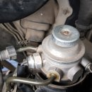 애니카랜드 가평점 이미지