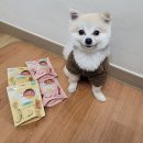 나투어리베 | 나투어리베 베지독 비건간식🤗