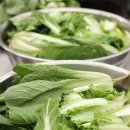 김치 특강 | 서울 원데이 쿠킹클래스, 수운스튜디오 1:1개인특강 김치수업 후기