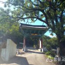 위덕대학교 불교대학원 이미지