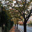 모듈화산업단지 이미지