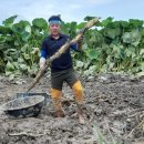 영천농장 이미지