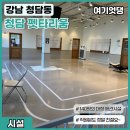 펫타리움 청담점 이미지