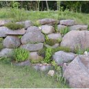 서린춘천 이미지