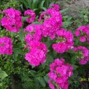 수산리-13 이미지