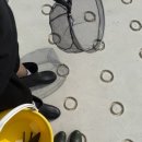 스테이도유 이미지