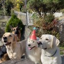 호텔루키 이미지