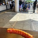 지리산뱀사골 맑은물 펜션 | [남원] 지리산뱀사골맑은물 펜션 / 캠핑장