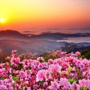 성원C마트