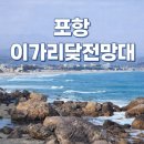 이가리? 닻 전망대 | 안 가면 후회합니다” 포항 당일치기 필수 코스 이가리닻전망대 직접 다녀온 리얼 후기. 4월포항가볼만한곳