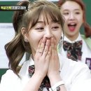 범섬포차