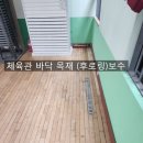 포천초등학교 이미지