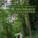 상담자를 위한 마음비추기 초대 리트릿 이미지